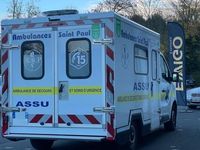 Occasion Renault Trafic 145 ch (106 kW) 2019 Monospace