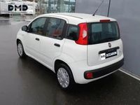 Occasion Fiat Panda S 69 ch (50 kW) 2020 Blanc Citadine