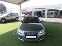 occasion Audi A3 (3e generation) III 1.6 TDI 105 AMBITION LUXE
