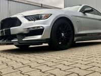 occasion Ford Mustang GT 5.0 v8 performance brembohors homologation 4500e