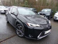 occasion Lexus UX 250h 2wd Pack Business