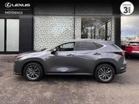 Occasion Lexus NX450h+ 2024 Gris de payne métallisé SUV