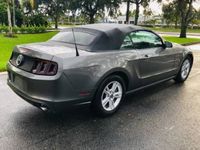 occasion Ford Mustang v6 37L cabriolet base auto