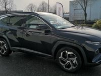 occasion Hyundai Tucson IV 1.6 TGDi 230 Hybrid Executive