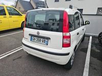 occasion Fiat Panda MY 1.2 8V 69 ch Dynamic