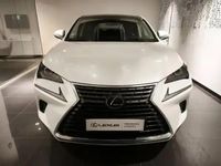Occasion Lexus NX300h 155 ch (114 kW) 2018 Blanc arctique SUV