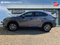 occasion Lexus NX300h 2WD Luxe - VIVA3656535