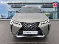 occasion Lexus UX 250h 250h 2WD Luxe MY19