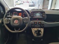 occasion Fiat Panda Cross 1.0 70ch BSG S&S - VIVA194720905