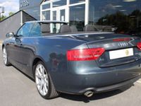 occasion Audi A5 Cabriolet Cabriolet 3.0L V6 TDI 240Ch