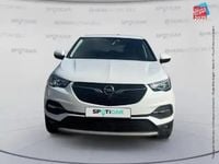 Occasion Opel Grandland X Business 182 ch (133 kW) 2021 Blanc SUV