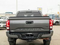 occasion Toyota Tacoma trd off road double cab 4x4 tout compris hors homo