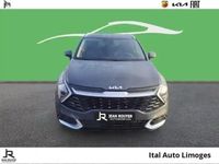 Occasion Kia Sportage 2023 Blanc SUV