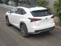 occasion Lexus NX300h 300H 4WD LUXE MY20 197CV