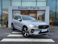 Occasion Volvo XC60 253 ch (186 kW) 2024 Gris SUV