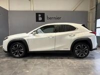 Occasion Lexus UX 250h 184 ch (135 kW) 2021 Blanc arctique métallisé SUV