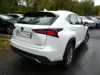 occasion Lexus NX300h 300H 2WD BUSINESS EURO6D-T