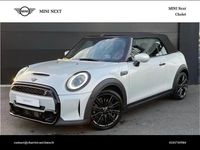 Occasion Mini Cooper S Cabriolet Premium Plus 181 ch (133 kW) 2022 Blanc Cabriolet