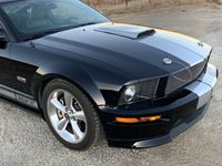 occasion Ford Mustang GT350 SHELBY - CAR - NO CORROSION