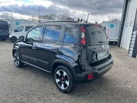 occasion Fiat Panda Cross 1.0 70ch BSG S&S - VIVA190391568