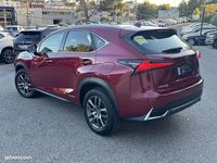 Occasion Lexus NX300h Business Edition 156 ch (114 kW) 2018 Rouge SUV