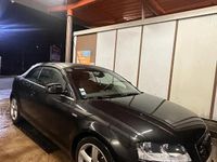Occasion Audi A3 Cabriolet S-line plus 105 ch (77 kW) 2010 Cabriolet