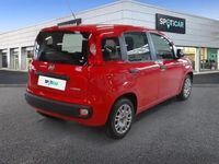 Occasion Fiat Panda S 70 ch (51 kW) 2022 Rouge Citadine