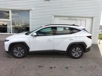 occasion Hyundai Tucson 1.6 T-GDi 150ch Hybrid 48V Intuitive - VIVA3639599