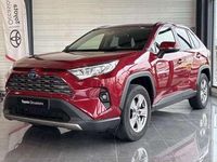 Occasion Toyota RAV4 Hybrid 218 ch (160 kW) 2022 SUV