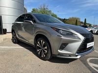 occasion Lexus NX300h 2WD Design MY21