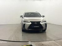 Occasion Lexus UX 250h Sport Design Packet 154 ch (113 kW) 2024 SUV