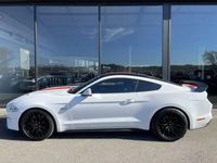 occasion Ford Mustang GT Mustang Fastback V8 5.0L - Pas de malus