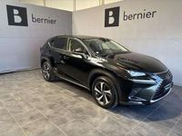 Occasion Lexus NX300h Executive Line 197 ch (144 kW) 2020 SUV