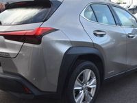 occasion Lexus UX 250H 2WD PACK BUSINESS MY20