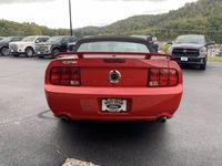 occasion Ford Mustang GT CABRIOLET