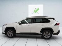 Occasion Toyota RAV4 Hybrid Business Edition 178 ch (130 kW) 2022 SUV