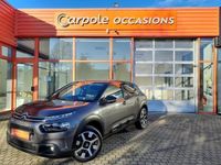 occasion Citroën C4 Cactus PureTech 110 S&S EAT6 Shine - VIVA167645683