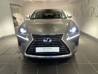 occasion Lexus NX300h 2WD Luxe MM19