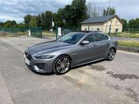 Occasion Jaguar XE R 179 ch (131 kW) 2019 Argent Berline