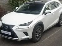 occasion Lexus NX300h 4wd Luxe My20 197cv