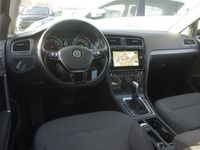 occasion VW Golf VII (2) 1.0 Tsi 115 Bluemotion Technology Confort Business Dsg7 5p