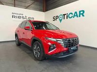 Occasion Hyundai Tucson 2022 Rouge SUV