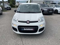 occasion Fiat Panda 1.2 8V 69 ch Pop