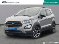 Occasion Ford Ecosport Active 2021 Gris matter SUV