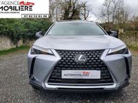 occasion Lexus UX 250h Hybride 4WD MC Luxe TO