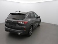 Occasion Ford Kuga ST-Line 120 ch (88 kW) 2024 SUV