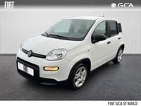 Occasion Fiat Panda S 2023 Blanc Citadine
