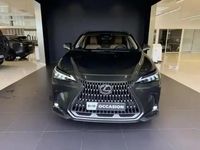 Occasion Lexus NX450h+ Executive Line 2022 Vert kaki métallisé SUV