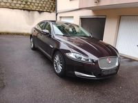 Occasion Jaguar XF 241 ch (177 kW) 2014 Brun Berline
