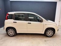 Occasion Fiat Panda 95 ch (69 kW) 2022 Citadine